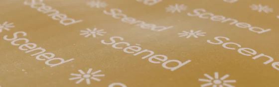 Scened brand identity pattern applied to a 3D mock-up